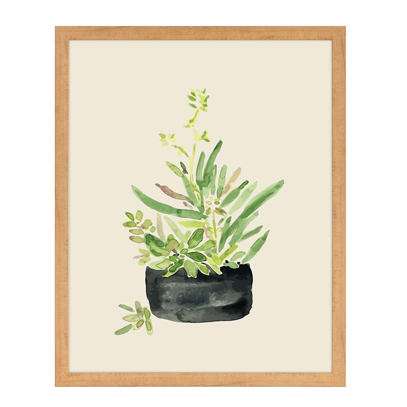 装饰画盆栽c9-3(多肉芦荟)钜惠购 满340元立减108.