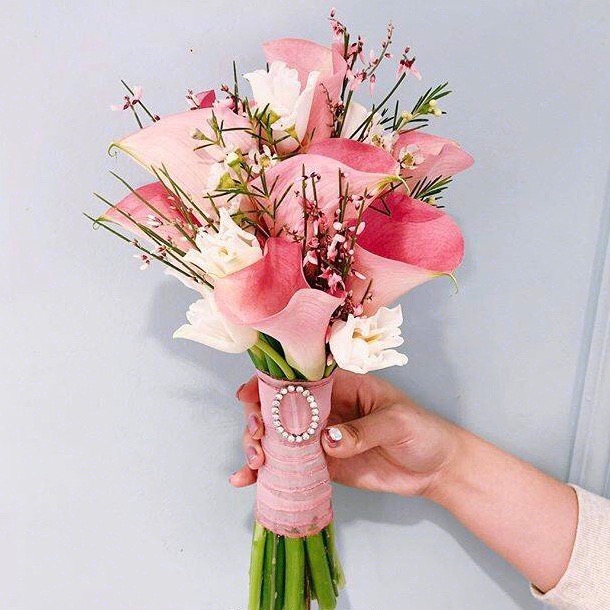 the stars海芋马蹄莲新娘手捧